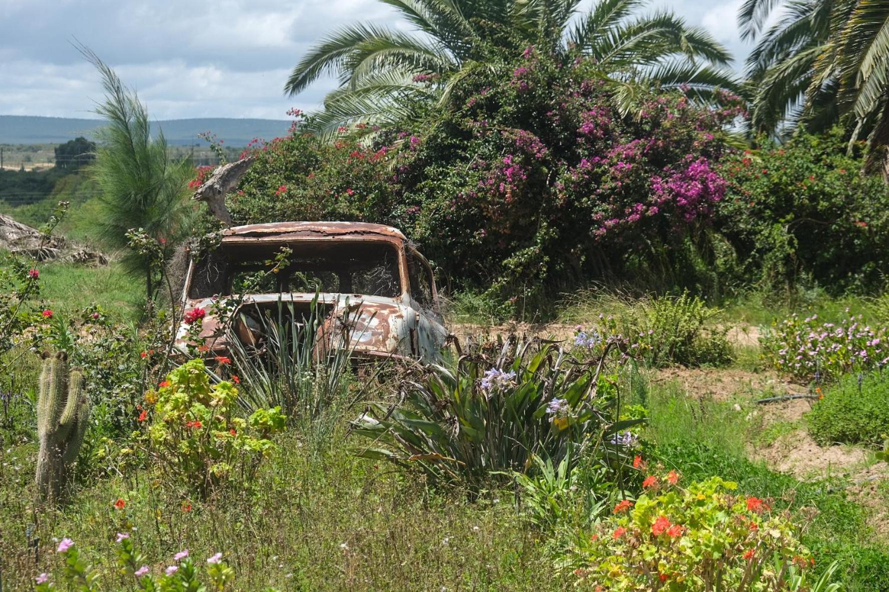 Hotel The Kraal Addo Exterior foto