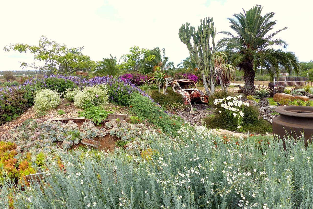 Hotel The Kraal Addo Exterior foto