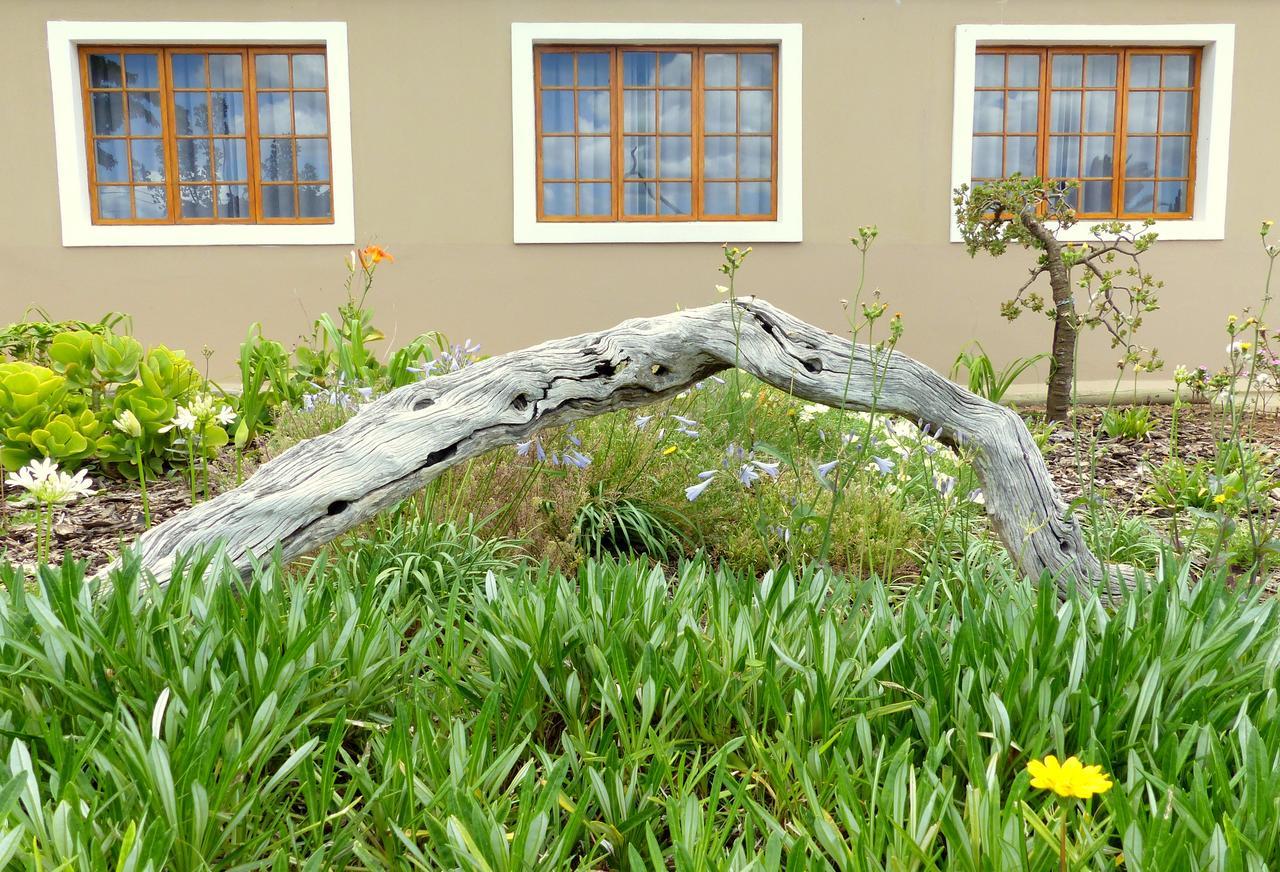 Hotel The Kraal Addo Exterior foto